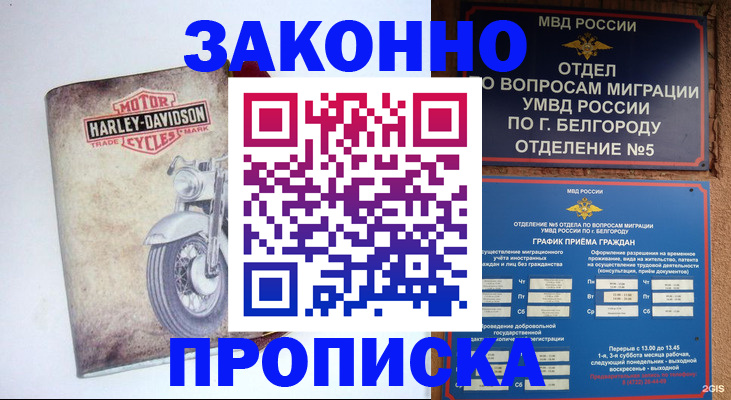 прописка для школы в Грязях